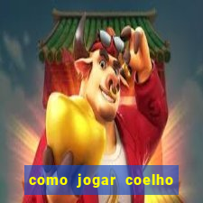 como jogar coelho da fortuna